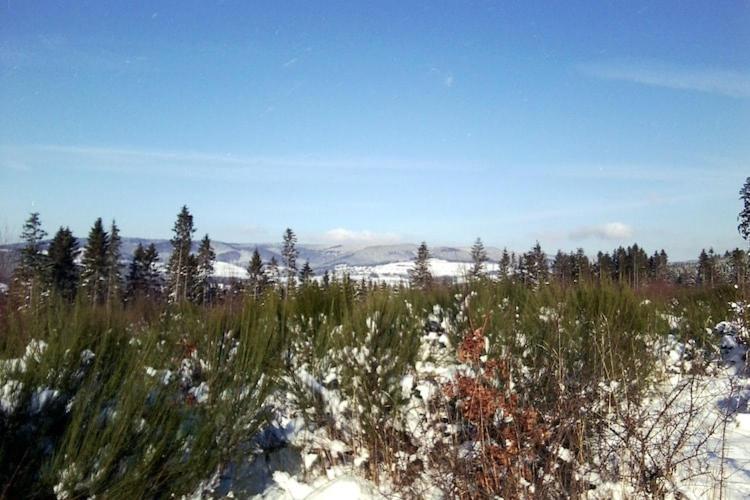 Cosy Apartment In Menkhausen Near The Ski Area سشمالنبرغ المظهر الخارجي الصورة