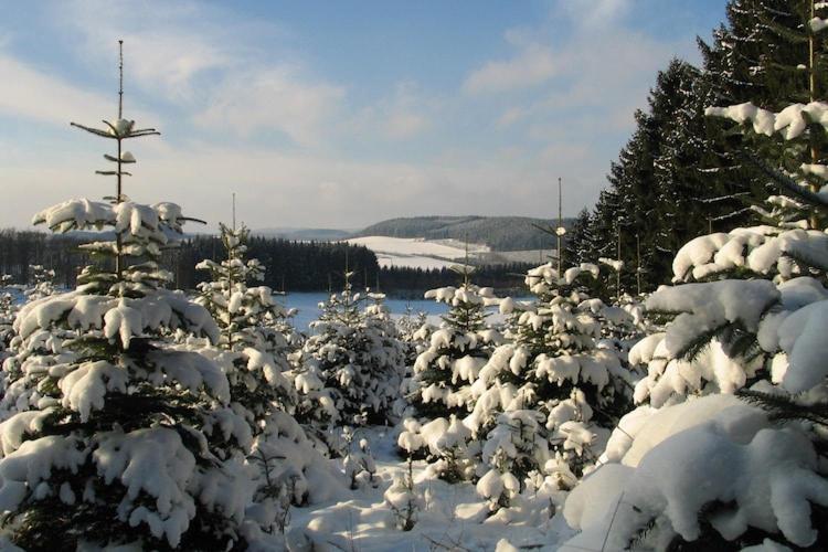 Cosy Apartment In Menkhausen Near The Ski Area سشمالنبرغ المظهر الخارجي الصورة