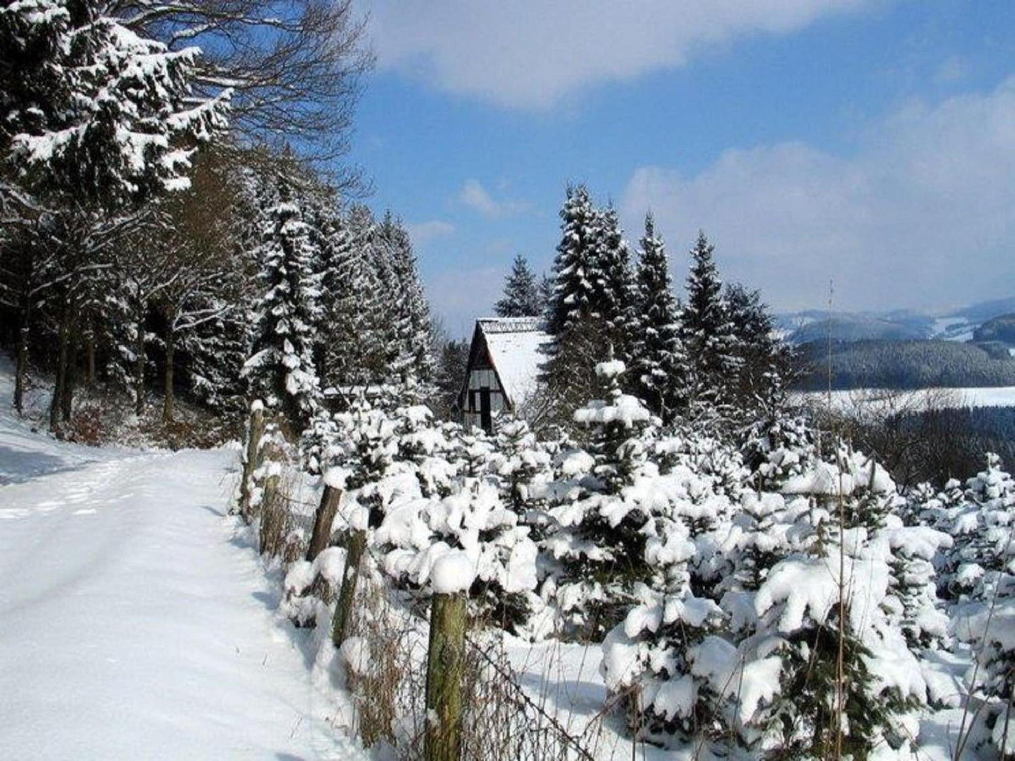 Cosy Apartment In Menkhausen Near The Ski Area سشمالنبرغ المظهر الخارجي الصورة